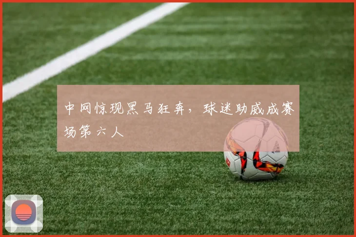 中网惊现黑马狂奔,球迷助威成赛场第六人 - 足彩网推荐