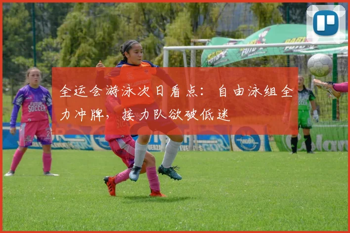 全运会游泳次日看点:自由泳组全力冲牌,接力队欲破低迷 - 足彩网推荐